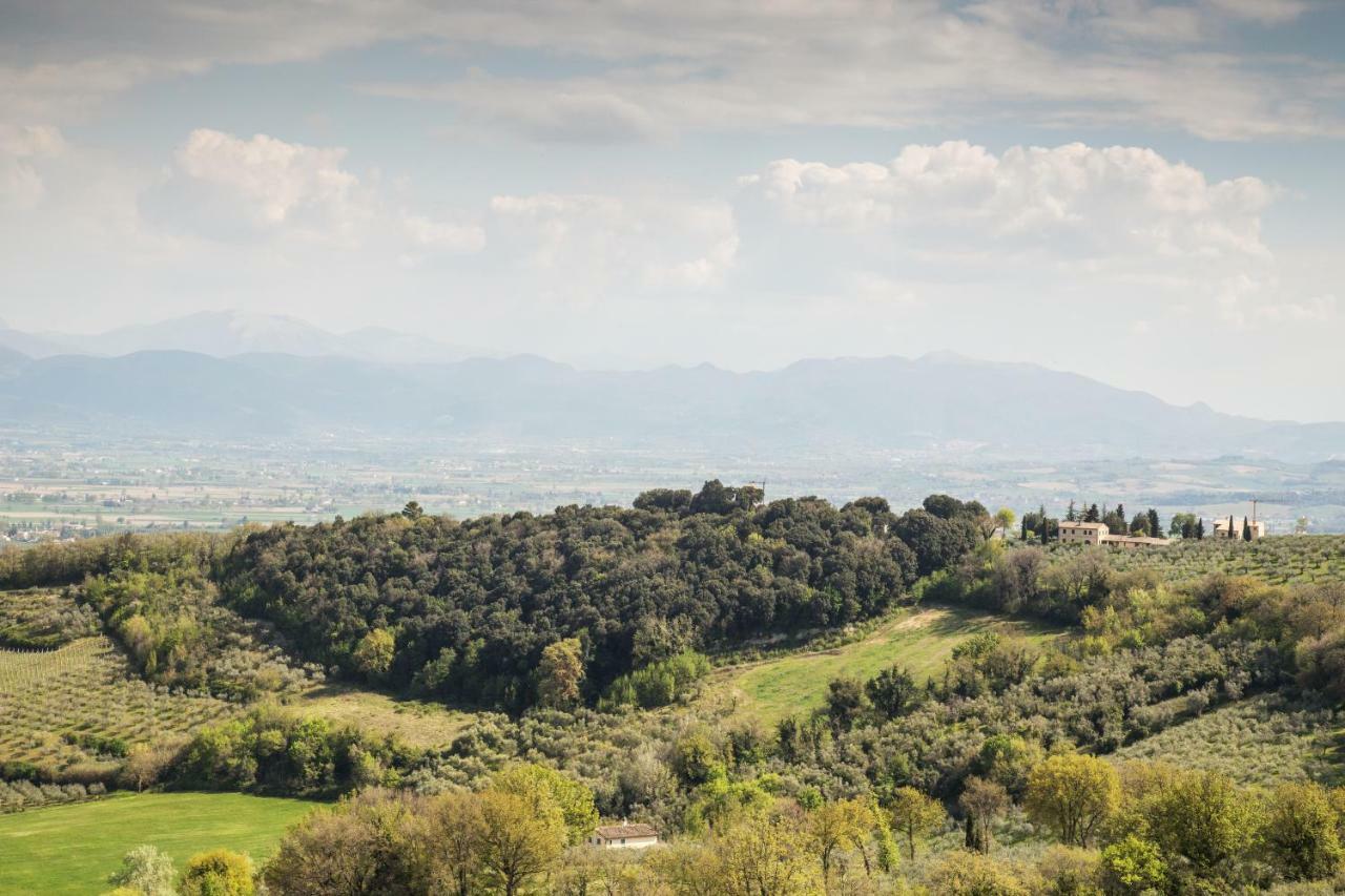 Апартаменты Casa Vacanze Montefalco Il Borgo Экстерьер фото